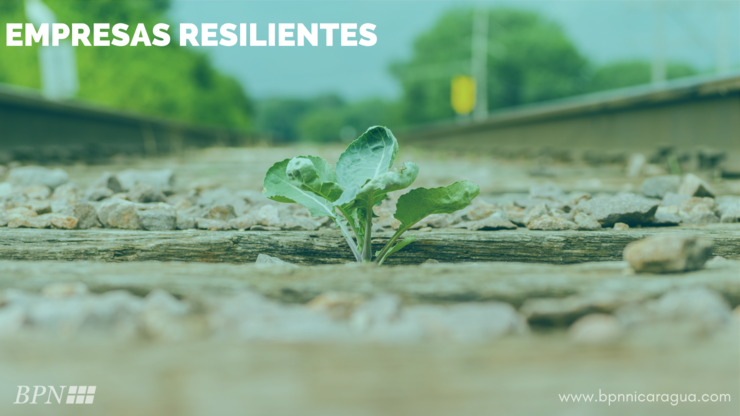 Empresas resilientes