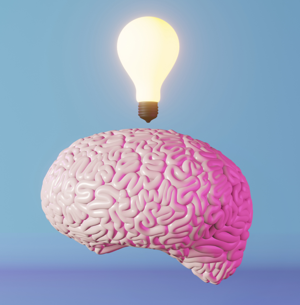 Inteligencia Emocional aplicada al liderazgo empresarial