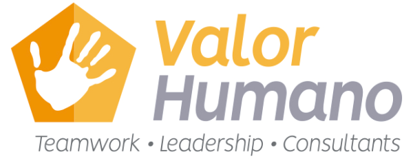VALOR HUMANO S_A